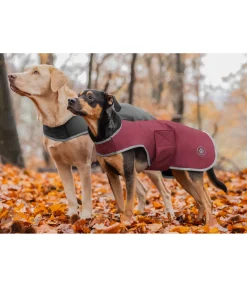 Sale Manteau de randonnée softshell pour chien Athlete, 0 g Manteaux De Pluie Sans Garnissage, 0G