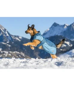 Best Manteau d'hiver pour chien avec doublure en polaire Teddy, 100 g Glacier Bay Manteaux D'Hiver Avec Garnissage, À Partir De 50G