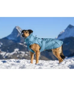 New Manteau d'hiver pour chien Wonderland, 140 g Manteaux D'Hiver Avec Garnissage, À Partir De 50G