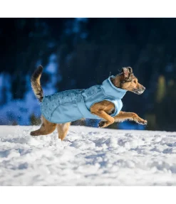 New Manteau d'hiver pour chien Wonderland, 140 g Manteaux D'Hiver Avec Garnissage, À Partir De 50G