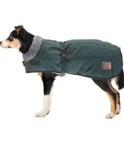 Outlet Manteau d'hiver pour chien avec doublure en fourrure Teddy Gizmo, 200 g Manteaux D'Hiver Avec Garnissage, À Partir De 50G