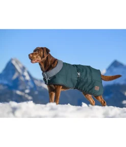 Outlet Manteau d'hiver pour chien avec doublure en fourrure Teddy Gizmo, 200 g Manteaux D'Hiver Avec Garnissage, À Partir De 50G