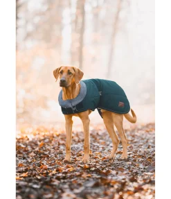 Outlet Manteau d'hiver pour chien avec doublure en fourrure Teddy Gizmo, 200 g Manteaux D'Hiver Avec Garnissage, À Partir De 50G