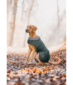 Outlet Manteau d'hiver pour chien avec doublure en fourrure Teddy Gizmo, 200 g Manteaux D'Hiver Avec Garnissage, À Partir De 50G