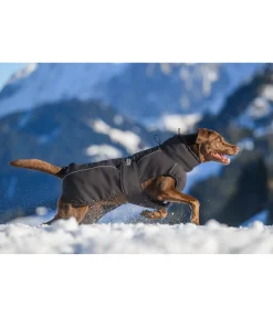 Discount Manteau d'hiver pour chien Marlon, 200-300 g Manteaux D'Hiver Avec Garnissage, À Partir De 50G