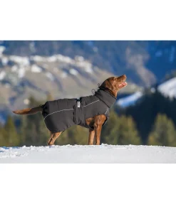 Discount Manteau d'hiver pour chien Marlon, 200-300 g Manteaux D'Hiver Avec Garnissage, À Partir De 50G