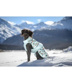 Best Manteau d'hiver pour chien Candy Cane, 120 g Manteaux D'Hiver Avec Garnissage, À Partir De 50G