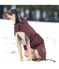 Hot Manteau d'hiver pour chien Beaver Creek, 400 g Manteaux D'Hiver Avec Garnissage, À Partir De 50G