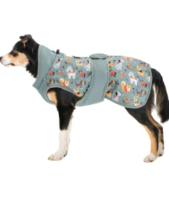 Online Manteau d'hiver pour chien Candy Cane, 120 g Manteaux D'Hiver Avec Garnissage, À Partir De 50G