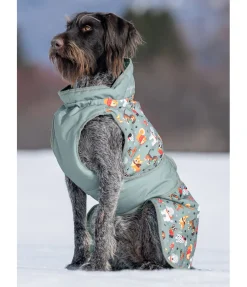 Online Manteau d'hiver pour chien Candy Cane, 120 g Manteaux D'Hiver Avec Garnissage, À Partir De 50G