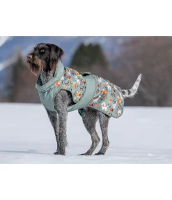 Online Manteau d'hiver pour chien Candy Cane, 120 g Manteaux D'Hiver Avec Garnissage, À Partir De 50G