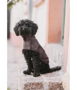 Discount Manteau polaire Lino Peignoirs, Manteaux Polaire Et Pull-Overs