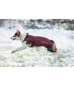 Online Manteau pour chien 2 en 1 Ally Manteaux De Pluie Sans Garnissage, 0G