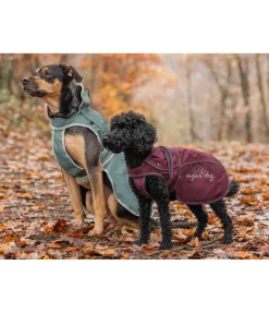 Online Manteau pour chien 2 en 1 Ally Manteaux De Pluie Sans Garnissage, 0G