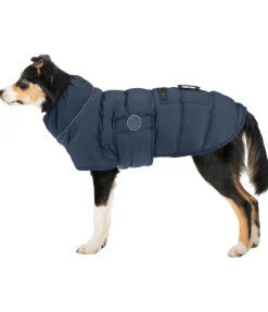 Best Manteau pour chien matelassé avec LED Arlo, 300 g Manteaux D'Hiver Avec Garnissage, À Partir De 50G