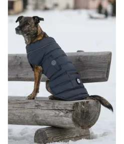 Best Manteau pour chien matelassé avec LED Arlo, 300 g Manteaux D'Hiver Avec Garnissage, À Partir De 50G