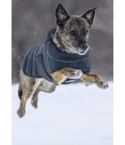 Best Manteau pour chien matelassé avec LED Arlo, 300 g Manteaux D'Hiver Avec Garnissage, À Partir De 50G