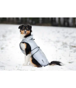 Best Manteau réfléchissant pour chien Safety First, 0 g Manteaux De Pluie Sans Garnissage, 0G|Matériel Réflechissant Pour Chiens