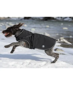 Online Manteau softshell pour chien avec harnais intégré Cruz, 160 g Manteaux D'Hiver Avec Garnissage, À Partir De 50G
