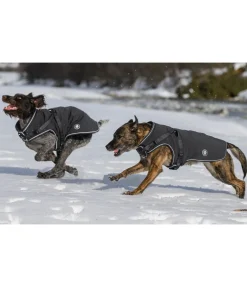 Online Manteau softshell pour chien avec harnais intégré Cruz, 160 g Manteaux D'Hiver Avec Garnissage, À Partir De 50G