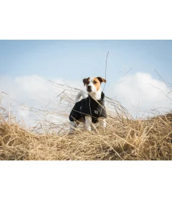 Discount Manteau softshell pour chien Bark, 0 g Manteaux De Pluie Sans Garnissage, 0G