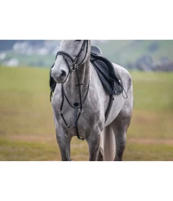 Best Martingale Stitch Colliers De Chasse & Martingales