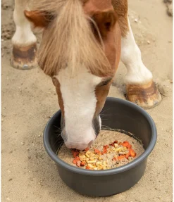 Hot Mash Été actif Mash