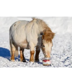 Hot Mash2go Rêve hivernal Mash