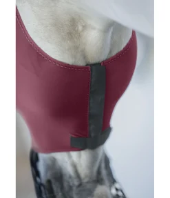 Online Masque anti-mouches avec fermeture à glissière et protège-naseaux Stretch Comfort Masques & Émouchettes