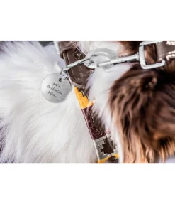 Sale Médaille Travel Buddy Accessoires Pour Chien|Laisses Pour Chien