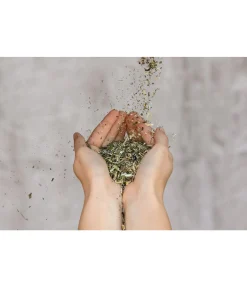 Hot Mélange d'herbes Herbimmun Aliments Complémentaires