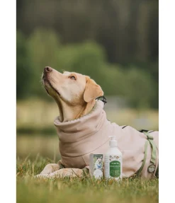 New Mélange d'huiles Natural Defense Articles À Mâcher & Friandises Pour Chien