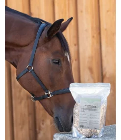 Best Mélange pour les articulations Aliments Complémentaires