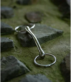 Mors droit Mors Droit