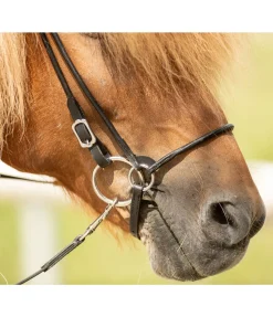 Online Mors simple brisure pour islandais Mors Simple Brisure