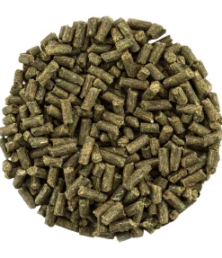 Multi Vital Robuste Compléments Minéraux