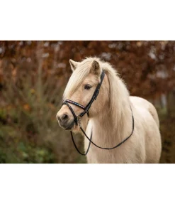 Clearance Muserolle combinée Muserolle Française & Combinée