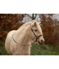 Best Muserolle sidepull Bridons Sans Embouchures