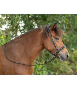 Best Muserolle sidepull Bridons Sans Embouchures