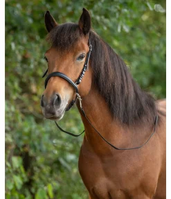 Best Muserolle sidepull Bridons Sans Embouchures