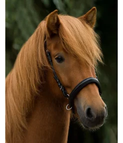 Best Muserolle sidepull Bridons Sans Embouchures