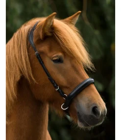 Best Muserolle sidepull Bridons Sans Embouchures