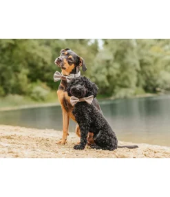 New Noeud papillon pour chien Tribal Love Accessoires Pour Chien