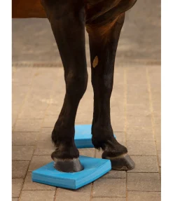 New Pad d'équilibre Balance Jouets Pour Chevaux