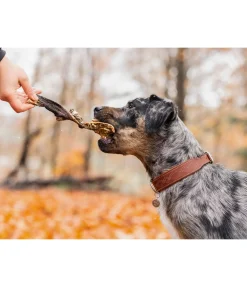 Discount Panse de boeuf pour chien Articles À Mâcher & Friandises Pour Chien