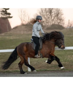 Online Pantalon d'équitation jodhpur Svarta Femme Pantalons Jodhpur