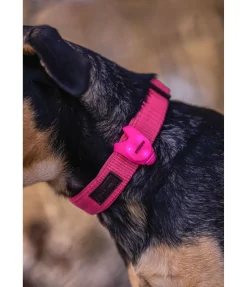 Discount Pendentif LED en silicone Flash Matériel Réflechissant Pour Chiens|Harnais & Colliers Pour Chien