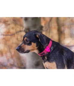 Discount Pendentif LED en silicone Flash Matériel Réflechissant Pour Chiens|Harnais & Colliers Pour Chien