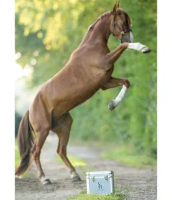 Clearance Petite mallette Alu Care Case Coffres & Sacs De Pansage