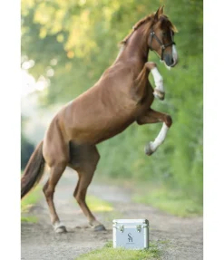 Clearance Petite mallette Alu Care Case Coffres & Sacs De Pansage